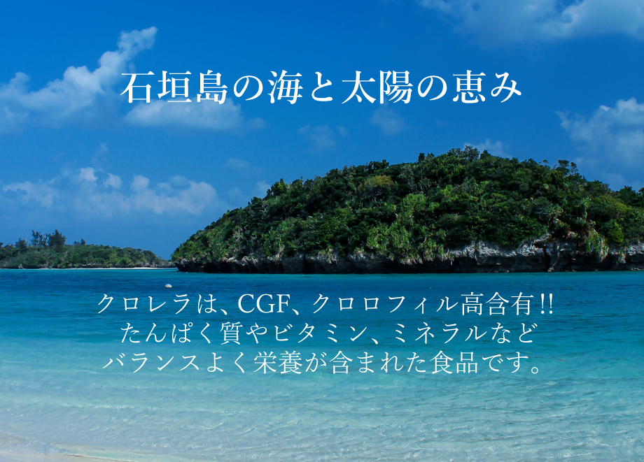 石垣島の海と太陽の恵み